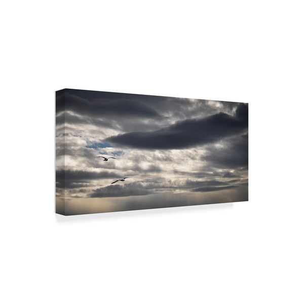 Thierry Lagandre 'Threatening Clouds' Canvas Art,16x32